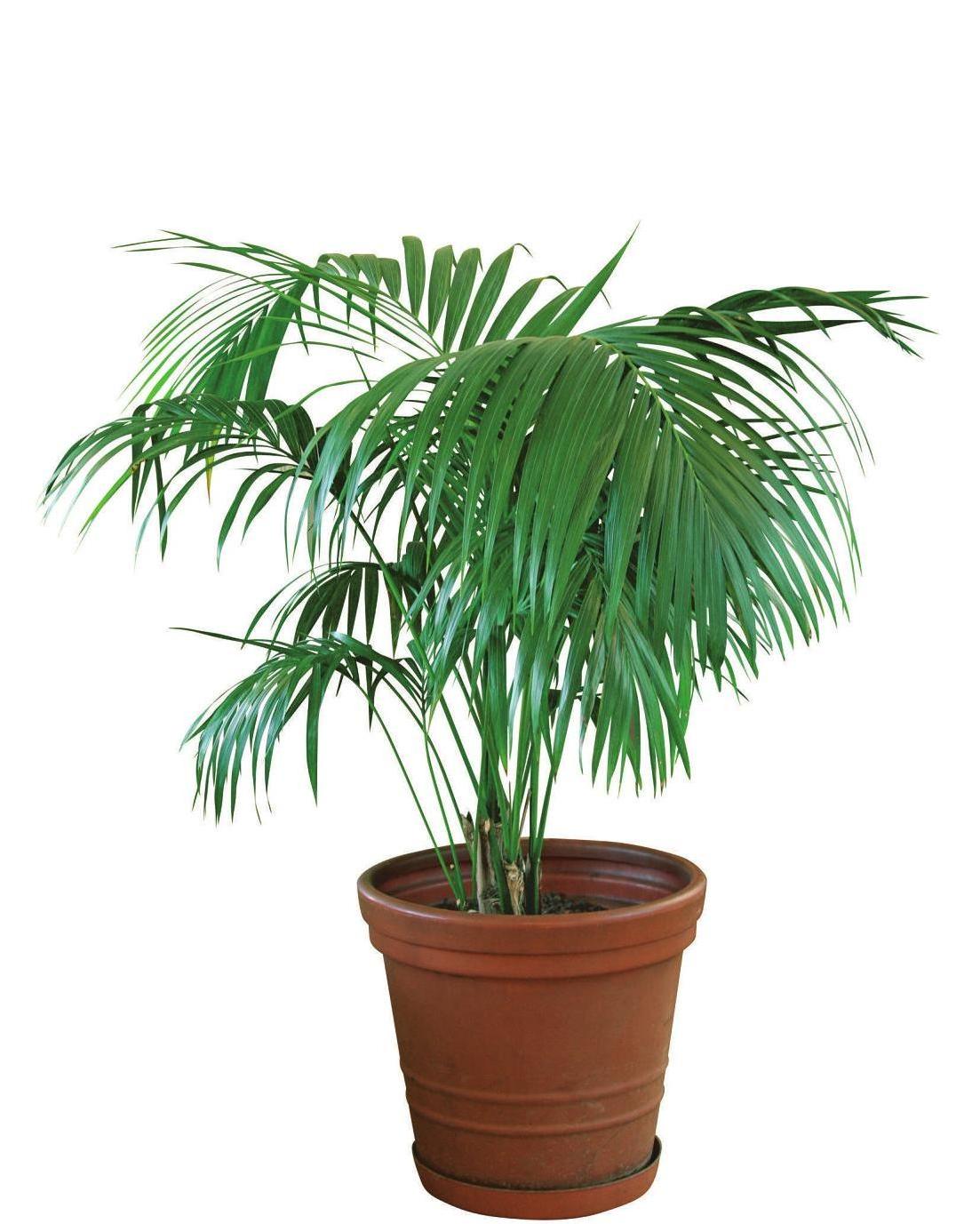 Foto: hcast - stock.adobe.com Foto: hcast - stock.adobe.com