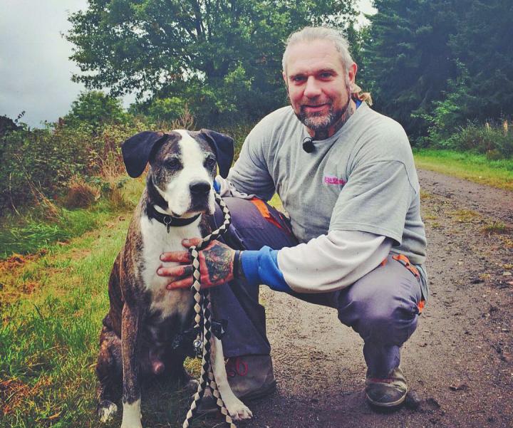 Hundemesse auf Gut Basthorst Image 1 Hundemesse auf Gut Basthorst Image 1