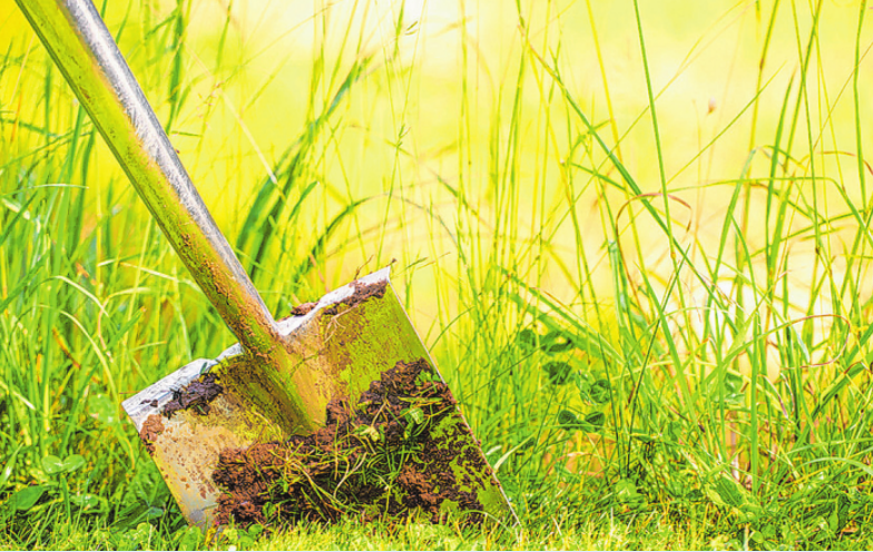 Saisonstart am Stormarnplatz Image 2 Saisonstart am Stormarnplatz Image 2