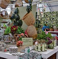 Der Urban-Jungle-Trend holt die Natur ins Haus Der Urban-Jungle-Trend holt die Natur ins Haus