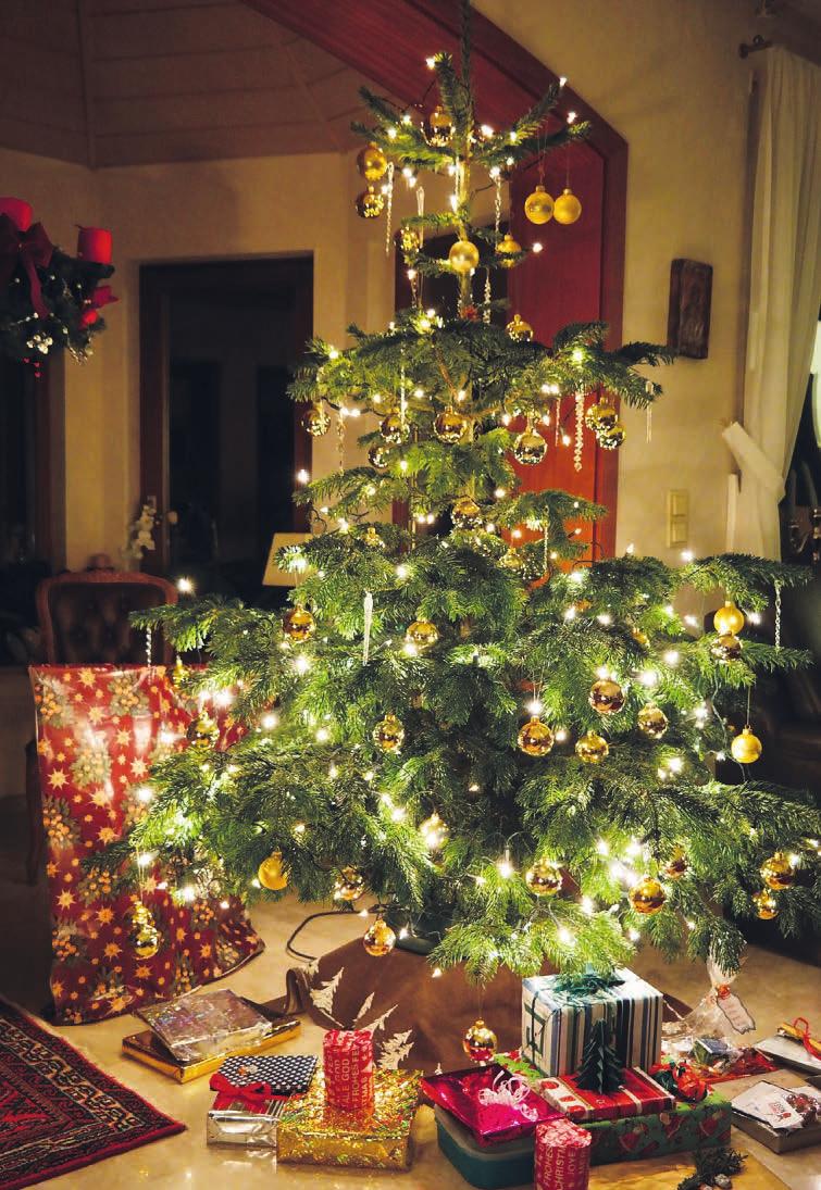 In 80 Prozent der deutschen Haushalte gehört der Weihnachtsbaum zum Christfest Foto: Pixabay In 80 Prozent der deutschen Haushalte gehört der Weihnachtsbaum zum Christfest Foto: Pixabay
