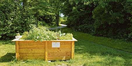 Hochbeete bieten rückenfreundliche Verstecke Foto: mf Hochbeete bieten rückenfreundliche Verstecke Foto: mf