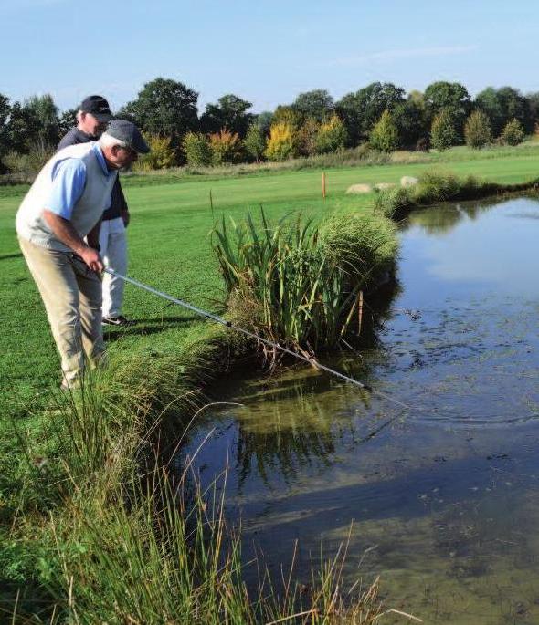 Ab und an geht auch mal ein Ball daneben – wie hier im Golfclub Reinfeld Ab und an geht auch mal ein Ball daneben – wie hier im Golfclub Reinfeld