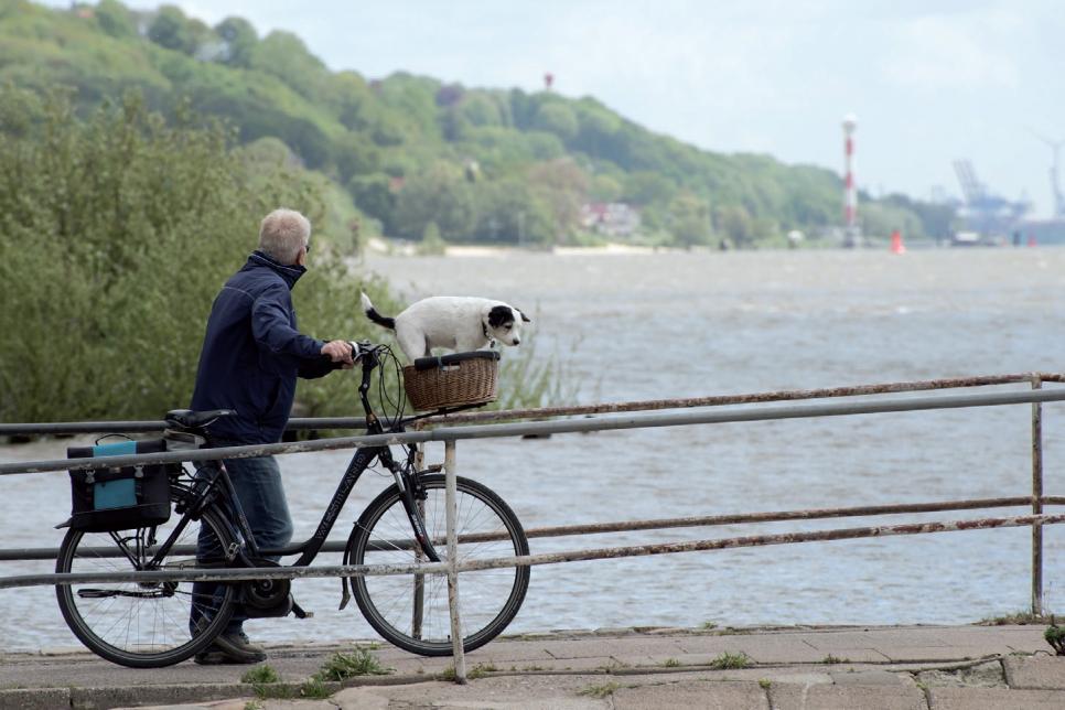 Verschnaufpause, um neue Energien zu tanken – das tut auch ihrem vierbeinigen Liebling gut! Verschnaufpause, um neue Energien zu tanken – das tut auch ihrem vierbeinigen Liebling gut! FOTO: UDO BOJAHR_FOTOLIA.COM