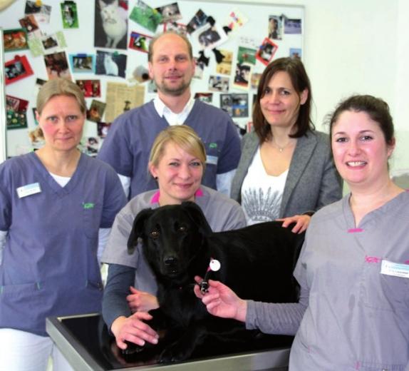 Tierarzt Dr. Jens Freund mit seinem Team