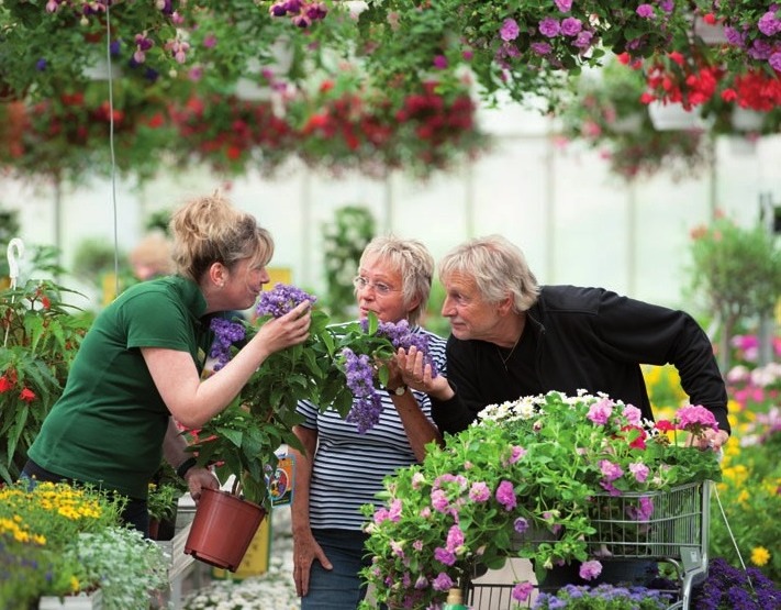 Schönste Farbenpracht für Ihre Oase FOTO: ©HEIKE GÜNTHER