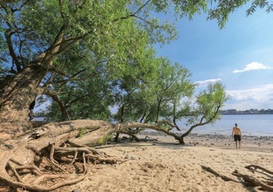 Hamburg im Fokus Image 2 Hamburg im Fokus Image 2