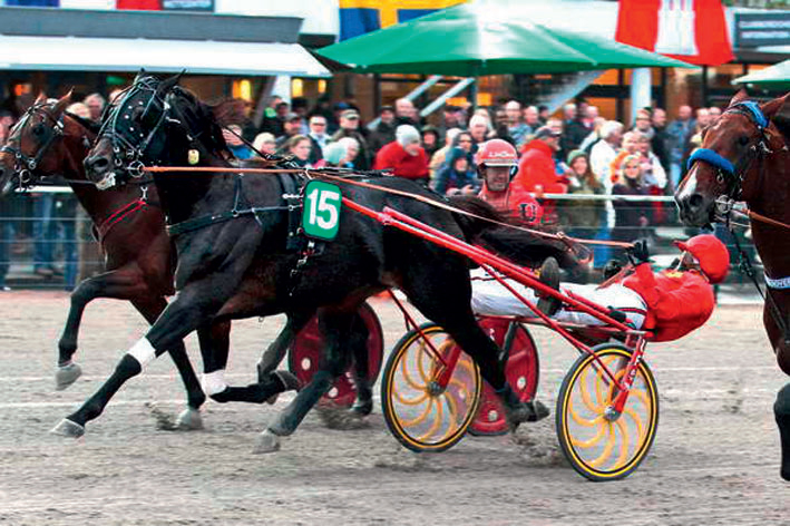 Sieg für Cruezado dela Noche. FOTO: UWE STELLING