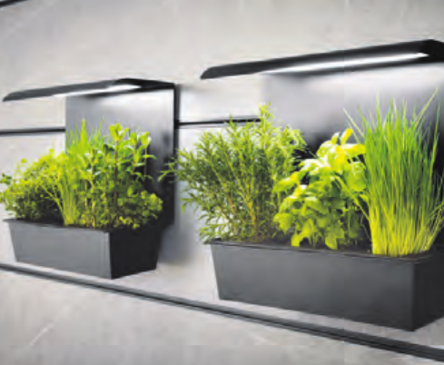 Die einstige „Konditorei Palm“ ist heute ein „Kinderhaus“ an der Ecke Berner Brücke/Berner Heerweg Foto: Archiv „Gartenstadt Hamburg eG“ Die einstige „Konditorei Palm“ ist heute ein „Kinderhaus“ an der Ecke Berner Brücke/Berner Heerweg Foto: Archiv „Gartenstadt Hamburg eG“