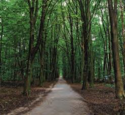 Die Vielfalt macht das Niendorfer Gehege aus Image 9 Die Vielfalt macht das Niendorfer Gehege aus Image 9