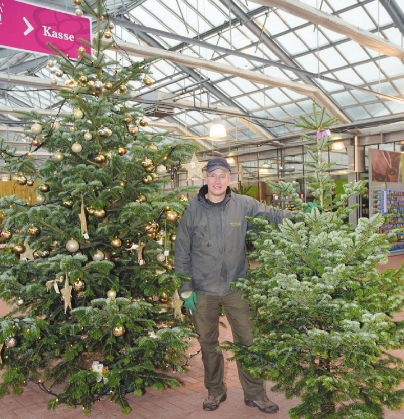 Florian Neumann bietet in Neumanns Gartenwelt in Tornesch nicht nur den richtigen Baum zum Fest, sondern auch alles, um ihn festlich zu schmücken Foto: Kuno Klein Florian Neumann bietet in Neumanns Gartenwelt in Tornesch nicht nur den richtigen Baum zum Fest, sondern auch alles, um ihn festlich zu schmücken Foto: Kuno Klein