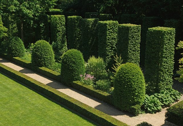 Die Zufahrt wird von fünf Meter hohen Buchenkuben begleitet. Davor setzen Eiben in Form von Bienenkörben Akzente. Die Zufahrt wird von fünf Meter hohen Buchenkuben begleitet. Davor setzen Eiben in Form von Bienenkörben Akzente.