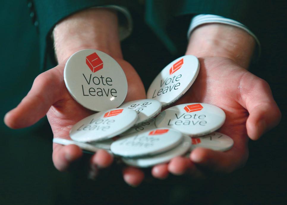 „Vote Leave“ – unter diesem Motto läuft die britische Kampagne pro „Brexit“, deren Vorsitzende unsere Autorin ist. PICTURE ALLIANCE/EMPICS/ANDREW MILLIGAN