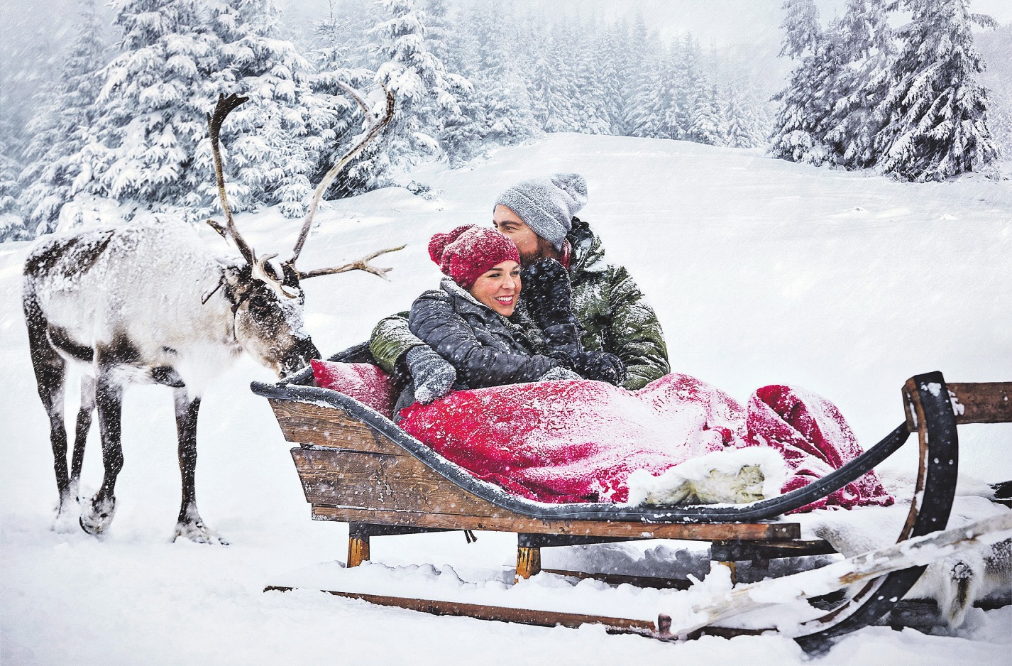 Bei eisiger Kälte lässt man sich in einem Schlitten von den anmutigen Rentieren durch die verschneite Landschaft ziehen Fotos (3): djd/mydays.de Bei eisiger Kälte lässt man sich in einem Schlitten von den anmutigen Rentieren durch die verschneite Landschaft ziehen Fotos (3): djd/mydays.de