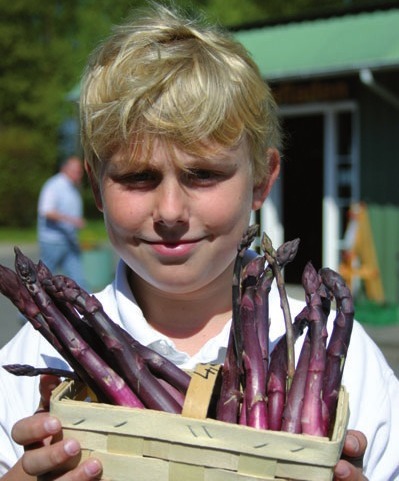 Hannes Schmietendorf mit hofeigenem Spargel