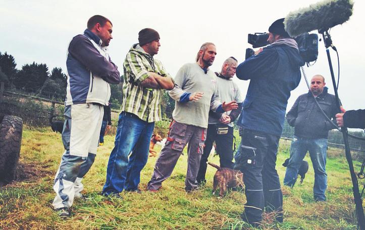 Hundemesse auf Gut Basthorst Image 2 Hundemesse auf Gut Basthorst Image 2