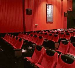 Schöner sitzen: Im Kino 2 wurden in diesem Jahr neue flauschige Polster eingebaut Schöner sitzen: Im Kino 2 wurden in diesem Jahr neue flauschige Polster eingebaut