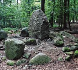 Die Vielfalt macht das Niendorfer Gehege aus Image 6 Die Vielfalt macht das Niendorfer Gehege aus Image 6