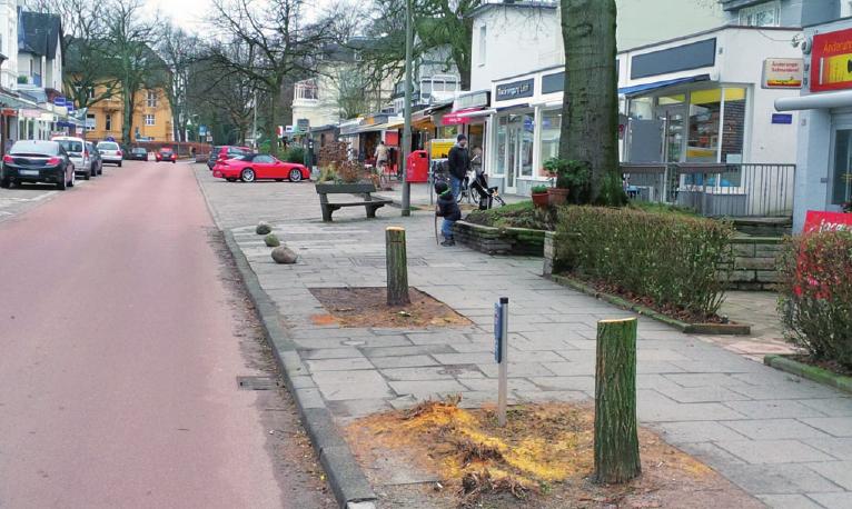 Gefällte Bäume in der Waitzstraße in Othmarschen