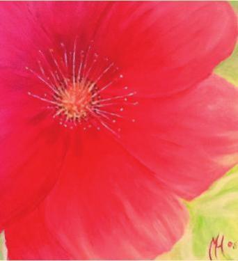 „Mohn“ von Margret Hempel