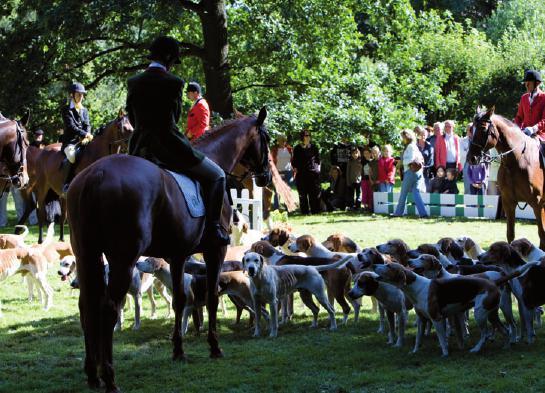 Der Hamburger Schleppjagdverein mit seiner Foxhound-Meute