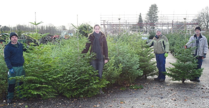 Das Team vom Baumschule-Nord-Shop bietet zu Weihnachten Nordmanntannen aus eigener Anzucht als Christbäume für das Fest an Foto: Kuno Klein Das Team vom Baumschule-Nord-Shop bietet zu Weihnachten Nordmanntannen aus eigener Anzucht als Christbäume für das Fest an Foto: Kuno Klein