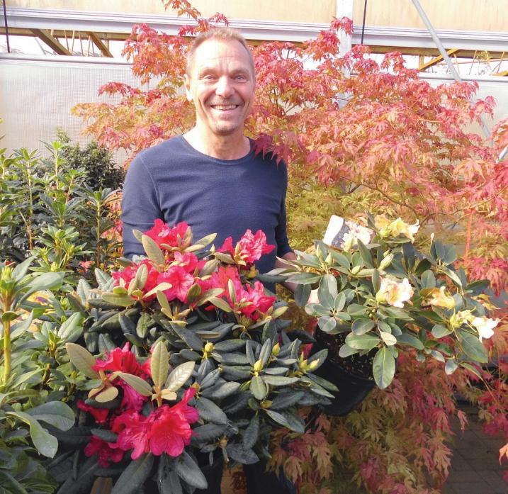 Am Wochenende 13. und 14. Oktober veranstaltet Holger Hachmann in seiner Baumschule in Barmstedt sein 14. Herbstfarben-Feuerwerk mit spektakulär leuchtenden japanischen Fächerahornen und herbstblühenden Rhododendren Fotos: Skibbe Am Wochenende 13. und 14. Oktober veranstaltet Holger Hachmann in seiner Baumschule in Barmstedt sein 14. Herbstfarben-Feuerwerk mit spektakulär leuchtenden japanischen Fächerahornen und herbstblühenden Rhododendren Fotos: Skibbe